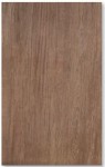 Zalakerámia ZBK 682 WOODSHINE ORO 25x40cm falicsempe