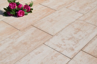 TERRAZZA Naturo latte